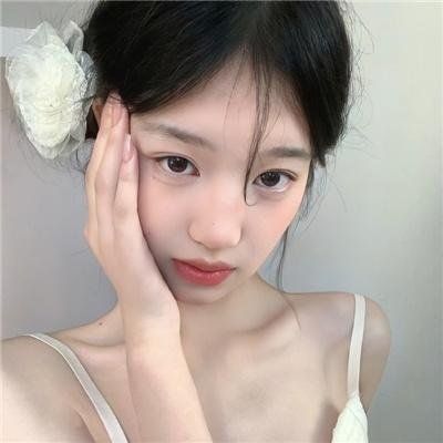 吉娃娃